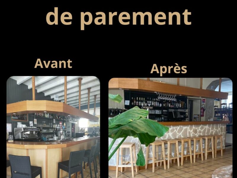 Artisan peintre en bâtiment