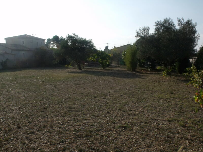 Maison sur terrain de 3230 m