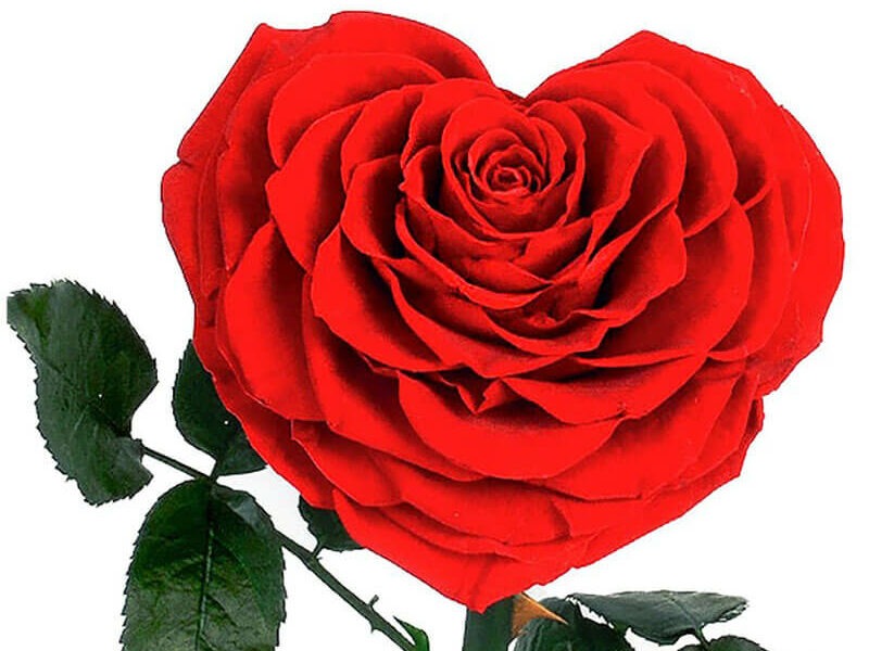 Homme recherche femme