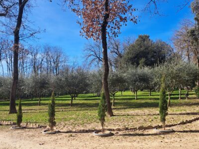 Terrain plat constructible